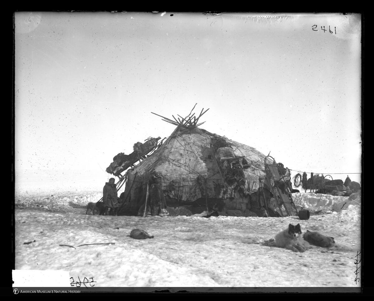 A Chukchi person with a dog near a Siberian dwelling in 1901.