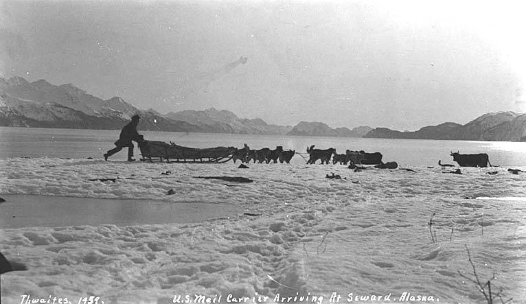 A U.S. mail carrier and dog sled team arriving at Seward around 1912.